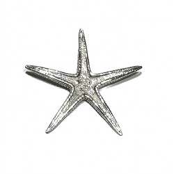 Ciondolo stella marina