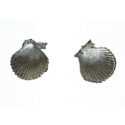 Shell earring