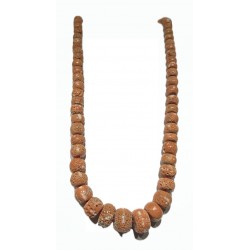Cerasuolo coral necklace