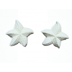 Old sea star