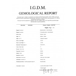 Certificate 20127107