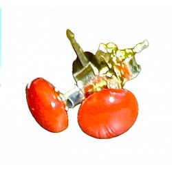 Coral earring