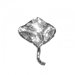 Ciondolo manta