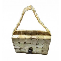 Mother of pearl bag
