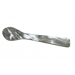 mother of pearl teaspoon
