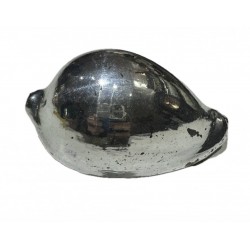 Silver plated shell