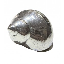 Silver plated shell