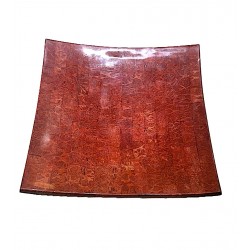 Madrepore coral tray