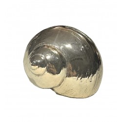 Pure gold plated shell
