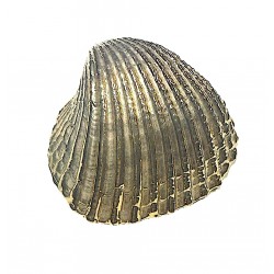 Pure gold plated shell