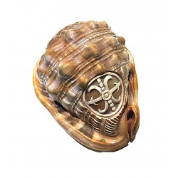 Carnelian shell cameo...