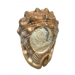 carnelian shell cameo