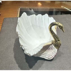 swan shell