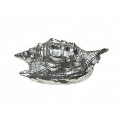 copy of Silver plated shell