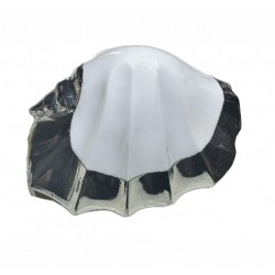 Silver plated shell