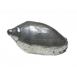 copy of Silver plated shell
