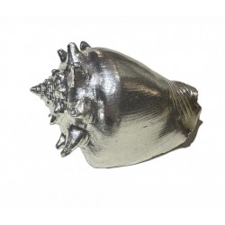 Silver plated shell