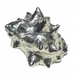 Silver plated shell