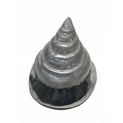 Silver plated shell