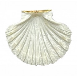Conchiglia capasanta