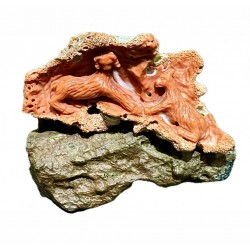Coral sculpture on...