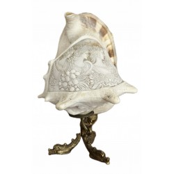 Horned Cassis Lamp Engraved