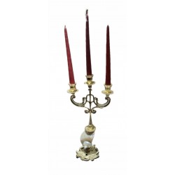 Candelabro conchiglia turbo