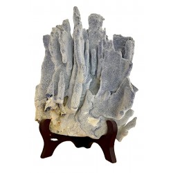 Corallo blu