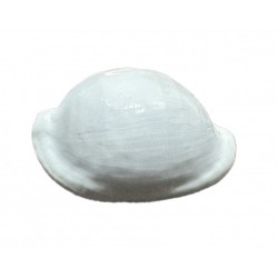 ovula ovum shell