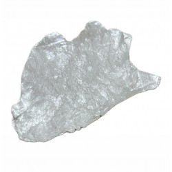Salgemma