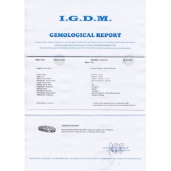 Certificato 20127109