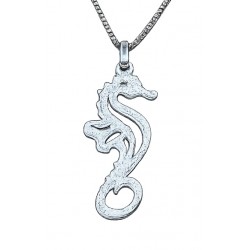 Aeolian Islands seahorse...
