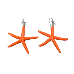 Aeolian Islands starfish...