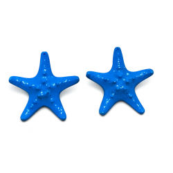 Aeolian Islands starfish...