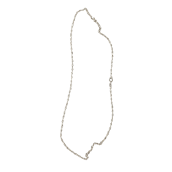 Catenina
